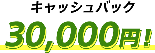 キャッシュバック30,000円！